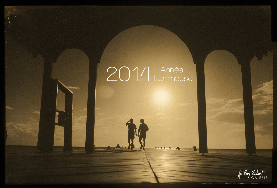 Voeux2014